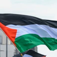 web-palestina-milano-lapresse